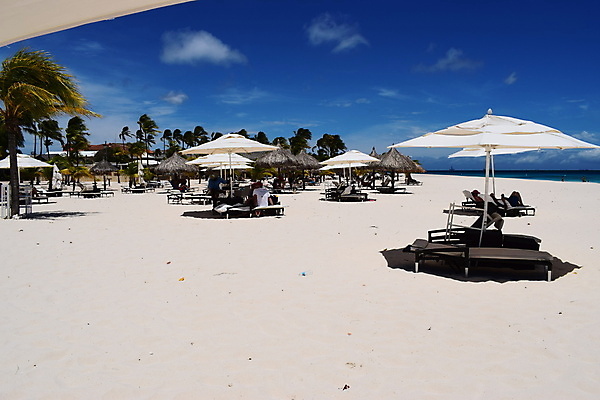 포토 JPG 해외이미지 나무 모래 파도 바다 섬 여행 백그라운드 자연 하늘 휴가 멕시코 손바닥 풍경 사람없음 야외 초록색 물 여름 파란색 태양 일출 맑음 침묵 일몰 흰색 만 휴양지 하와이 발리 보라카이 쿠바 세이셸 몰디브 바하마 이국적 자메이카 터키석 파라다이스 플로리다 해외포토 자연요소 식물 손 계절 아시아 컬러 북아메리카 아프리카 날씨 필리핀 노을 미국 소리 장소 중앙아메리카 보석 생태계 인도네시아 파일형식 이미지허브