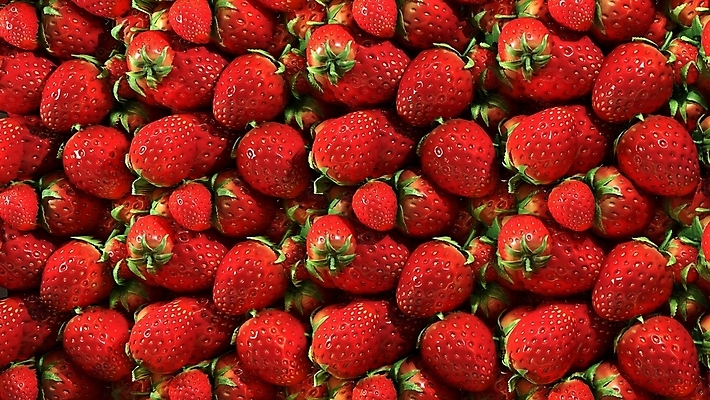 포토 JPG 해외이미지 계절 열매 음식 백그라운드 농업 과일 자연 벽지 딸기 디저트 건강 사람없음 빨간색 농장 식사 활발 수확 시골 신선 그룹 달콤 맛 수집 상쾌 유기농 생태계 질감 날것 내추럴 숙성 많음 비건 해외포토 식물 웰빙 감정 산업 컬러 컨셉 채식주의자 파일형식 이미지허브