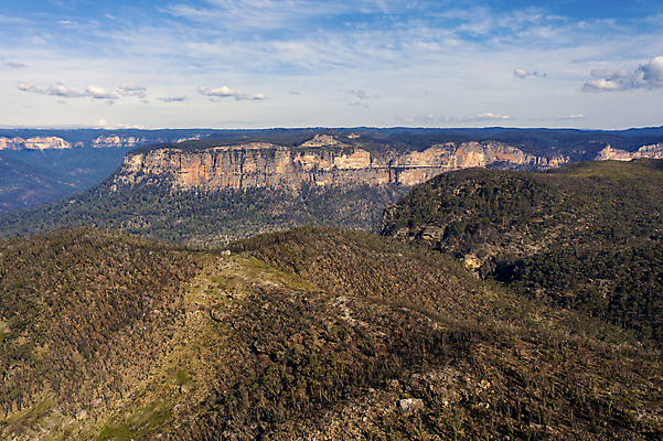 포토 JPG 해외이미지 나무 식물 공원 모래 잎 자연 하늘 불 산 사람없음 야외 초록색 파란색 갈색 환경 검은색 흙 나뭇가지 시골 호주 숲 언덕 질감 먼지 지역 내추럴 땅바닥 오지 치유 해외포토 자연요소 공공시설 컬러 바닥 오세아니아 생태계 파일형식 이미지허브