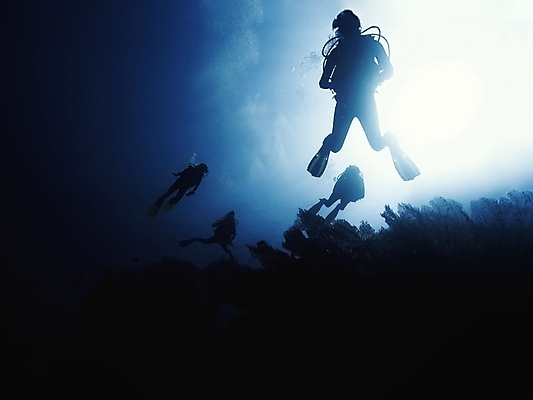 포토 JPG 해외이미지 실루엣 바다 여러명 성인 빛 수중 잠수부 성인만 해외포토 다수 촬영기법 사람 전문직 파일형식 이미지허브