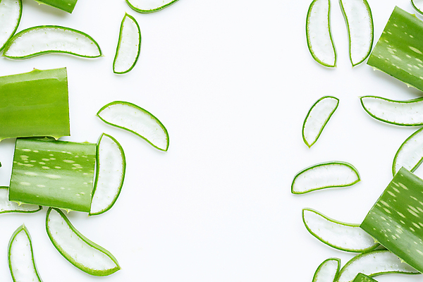 포토 JPG 해외이미지 스튜디오촬영 단면 실내 사람없음 하이앵글 뷰티 흰배경 알로에 해외포토 식물 뷰포인트 백그라운드 내부 흰색 파일형식 이미지허브