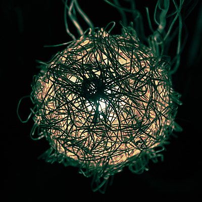 포토 JPG 해외이미지 모양 디자인 줄기 가구 백그라운드 거실 공 조명 주택 실내 따뜻함 사람없음 내부 목재 장식 빛 방 수확 등불 램프 원형 대나무 오브젝트 에코 친환경 복고 수공예 빛망울 내추럴 구식 등나무 여의주 옛날 짜기 핸드메이드 스타일 해외포토 도형 나무 식물 생활용품 농업 재료 모션 건물 환경 공예 파일형식 이미지허브