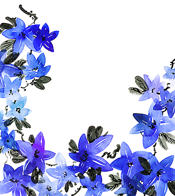 JPG 해외이미지 식물 꽃 일러스트 붓터치 수채화 동양인 사람없음 뷰티 그림 번짐 해외일러스트 인종 파일형식 효과 이미지허브