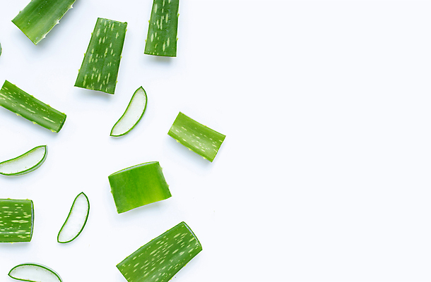 포토 JPG 해외이미지 스튜디오촬영 단면 실내 사람없음 하이앵글 뷰티 흰배경 알로에 해외포토 식물 뷰포인트 백그라운드 내부 흰색 파일형식 이미지허브