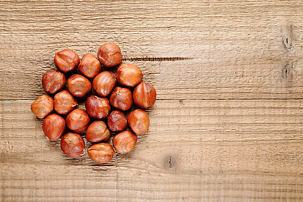 포토 JPG 해외이미지 실내 사람없음 하이앵글 견과류 헤이즐넛 나무배경 해외포토 뷰포인트 백그라운드 내부 파일형식 이미지허브