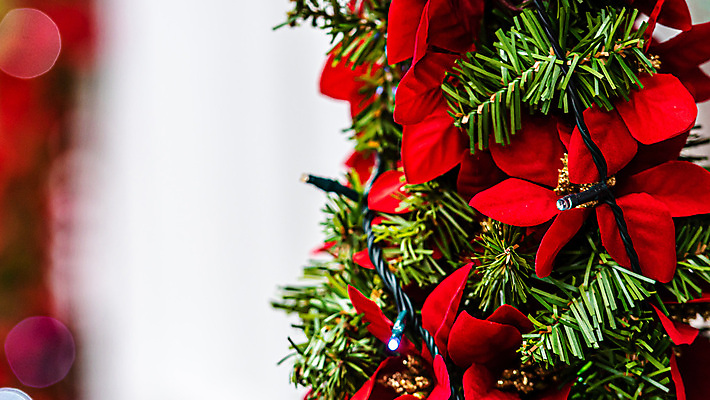 포토 JPG 해외이미지 나무 전통 디자인 외관 계절 백그라운드 컨셉 크리스마스 창문 휴가 새로움 거리 매달리기 풍경 사람없음 야외 건물 장식 빨간색 세로 초록색 빛 축제 화환 수확 나뭇가지 축하 도시 소나무 소프트포커스 연도 묘사 진열장 보케 부드러움 전나무 빛망울 해외포토 식물 건축물 기념일 꽃 컬러 농업 모션 촬영기법 감각 파일형식 이미지허브