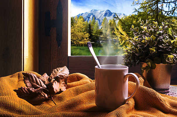 포토 JPG 해외이미지 전통 라이프스타일 디자인 여자 커피 음료 음식 백그라운드 잎 일러스트 창문 자연 유리 탁자 아침 휴식 따뜻함 건강 파노라마 사람없음 목재 컵 초록색 갈색 노란색 검은색 머그컵 신선 뜨거움 액체 달콤 아침식사 찻잔 찻주전자 허브 오브젝트 상쾌 아로마 에스프레소 내추럴 카페인 해외포토 주간 나무 식물 식기 감정 컬러 가구 컨셉 재료 재질 주전자 잔 촬영기법 사람 생활 식사 맛 생태계 파일형식 이미지허브