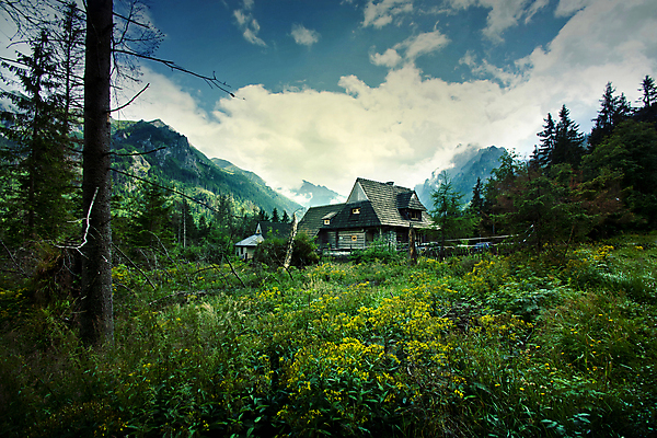 포토 JPG 해외이미지 나무 식물 공원 길 여행 잎 오렌지 자연 하늘 아침 산 주택 사람없음 야외 목재 초록색 물 파란색 빛 뷰티 노란색 평화 환경 어둠 일몰 새벽 안개 달 황무지 황금 저녁 숲 작음 산등성이 폴란드 내추럴 뿌연 서쪽 해외포토 주간 자연요소 공공시설 유럽 컬러 컨셉 과일 재료 날씨 건물 노을 야간 크기 방향 생태계 파일형식 이미지허브