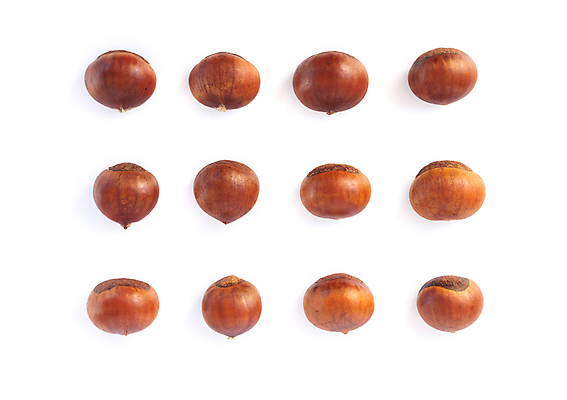 포토 JPG 해외이미지 식물 계절 음식 백그라운드 과일 재료 자연 건강 씨앗 사람없음 갈색 우주 견과류 수확 껍질 흰색 신선 달콤 맛 정상 굽기 유기농 날것 흙더미 내추럴 고립 식용 채식주의자 해외포토 웰빙 컬러 컨셉 농업 흙 구이 생태계 채식 파일형식 더미 이미지허브