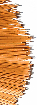 포토 JPG 해외이미지 실내 그림자 사람없음 갈색 흰배경 스파게티면 해외포토 컬러 백그라운드 내부 흰색 면류 파일형식 이미지허브