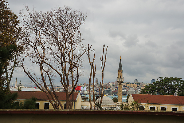 포토 JPG 해외이미지 나무 커플 공원 꽃 길 여행 잎 자연 이스탄불 사랑 어류 미술 사람 잔디 사람없음 야외 초록색 물 컬러풀 여행객 봄 산책 회색 튤립 신선 도시 파편 크루즈 언덕 지역 칠면조 옛날 히아신스 튀르키예 해외포토 자연요소 식물 계절 공공시설 감정 아시아 컬러 배_교통 관계 조류 문화예술 휴식 수중동물 생태계 파일형식 이미지허브
