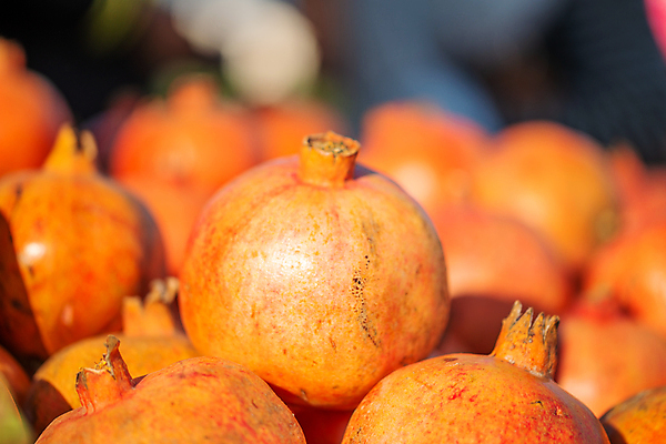 포토 JPG 해외이미지 계절 음식 백그라운드 농업 다이어트 재료 자연 건강 풍경 사람없음 야외 옆모습 빨간색 농장 쌓기 바구니 수확 가을 신선 시장 닫기 달콤 유기농 날것 내추럴 숙성 채식주의자 해외포토 웰빙 산업 뷰포인트 컬러 모션 맛 생태계 채식 파일형식 이미지허브