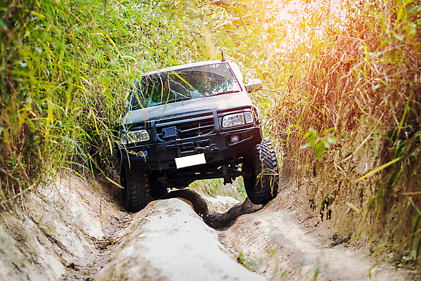 포토 JPG 해외이미지 나무 도로 교통수단 스포츠 포즈 백그라운드 십자가 교통시설 자국 자동차 자연 사람없음 야외 목재 초록색 농장 기계 장비 운전 오토바이 바퀴 4 떨어짐 숲 땅 지프 속도 먼지 지역 진흙 짐차 선로 집회 해외포토 식물 길 육상교통 컬러 교통 컨셉 농업 재료 모션 승용차 숫자 바이크 시설 생태계 파일형식 이미지허브