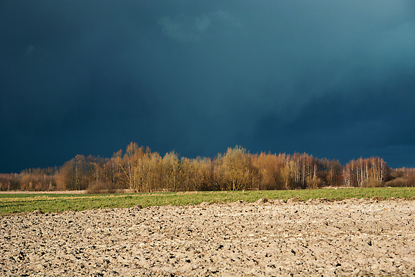 포토 JPG 해외이미지 나무 계절 백그라운드 밭 농업 오렌지 자연 하늘 날씨 사람없음 농장 검은색 어둠 봄 시골 숲 위험 땅 만취 장면 폭풍 땅바닥 폭풍우 수평선 해외포토 식물 산업 컬러 컨셉 과일 바닥 비_날씨 자연재해 생태계 술취함 파일형식 이미지허브
