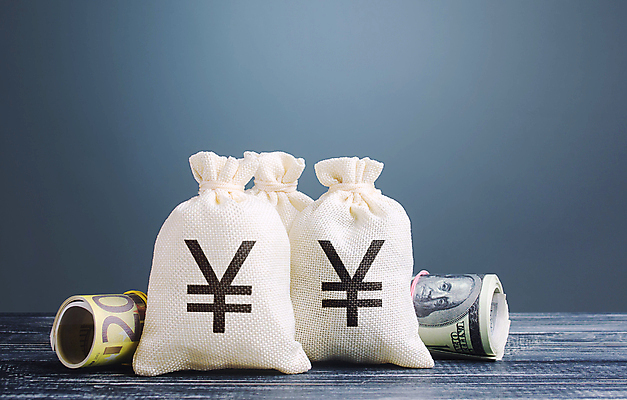 포토 JPG 해외이미지 돈 회색배경 사람없음 금융 경제 글로벌 거래 돈자루 재산 엔 돈다발 수입 해외포토 백그라운드 회색 파일형식 이미지허브