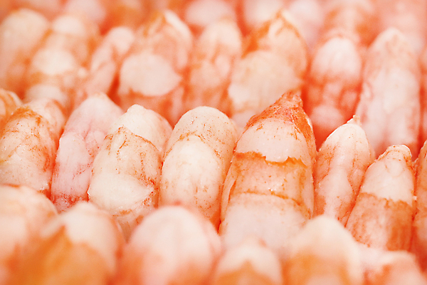 포토 JPG 해외이미지 음식 새우 육류 요리 사람없음 빨간색 식사 흰색 신선 해산물 고립 삶기 해외포토 컬러 식재료 갑각류 파일형식 이미지허브