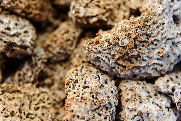 포토 JPG 해외이미지 나무 동물 야생동물 곤충 백그라운드 패턴 자연 표면 노동자 주택 사람없음 목재 갈색 흙 손상 흰색 그룹 터널 해충 둥지 먹기 언덕 질감 잡동사니 내추럴 수목 식민지 해외포토 식물 직업 길 컬러 컨셉 무늬 재료 모션 건물 벌레 생태계 파일형식 이미지허브