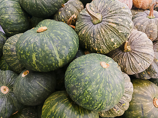 포토 JPG 해외이미지 잡화 아시아 음식 백그라운드 패턴 농업 다이어트 채소 오렌지 재료 태국 호박 디저트 요리 씨앗 동양인 사람없음 초록색 농장 노란색 축제 할로윈 수확 신선 시장 황금 큼 자르기 먹기 유기농 질감 섬유 추수감사절 소매 스쿼시 흙더미 숙성 해외포토 식물 웰빙 나라 산업 기독교 스포츠 컬러 무늬 과일 모션 건강 인종 구기 흙 직물 크기 파일형식 더미 이미지허브