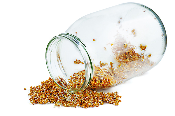 포토 JPG 해외이미지 음식 백그라운드 오렌지 재료 유리 건조 건강 씨앗 사람없음 농작물 갈색 노란색 젖음 흰색 항아리 낟알 시리얼 유기농 날것 공포 광택 생식 수수 채식주의자 많음 해외포토 식물 웰빙 컬러 컨셉 농업 과일 재질 도자기 채식 파일형식 이미지허브