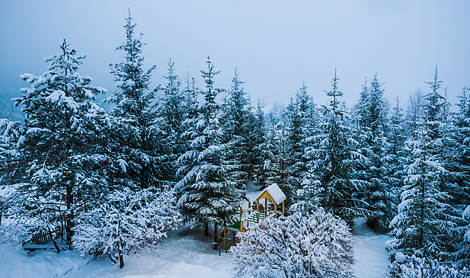 포토 JPG 해외이미지 나무 계절 유럽 크리스마스 겨울 자연 날씨 산 풍경 사람없음 야외 환경 냉동 침묵 추위 안개 흰색 나뭇가지 소나무 고독 떨어짐 놀이터 숲 12월 서리 전나무 흐림 눈보라 1월 우크라이나 폭설 눈내림 겨울풍경 해외포토 식물 기념일 감정 나라 컬러 컨셉 놀이 눈_날씨 소리 날짜 자연재해 생태계 파일형식 이미지허브