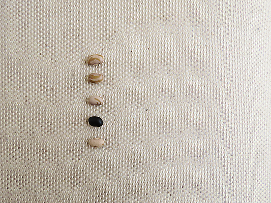 포토 JPG 해외이미지 선 음식 백그라운드 패턴 농업 다이어트 재료 콩 건조 건강 요리 씨앗 사람없음 갈색 식사 직물 그룹 맛 낟알 먹기 유기농 질감 날것 고립 채식주의자 핸드메이드 해외포토 식물 웰빙 산업 컬러 컨셉 무늬 모션 곡류 채식 파일형식 이미지허브