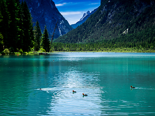 포토 JPG 해외이미지 구름 여행 백그라운드 자연 벽지 하늘 휴가 산 풍경 사람없음 여름 파란색 뷰티 얼음 프랑스 바위 고도 빙하 양배추 알프스 내추럴 절정 해외포토 자연요소 계절 유럽 컬러 채소 돌_바위 생태계 파일형식 이미지허브