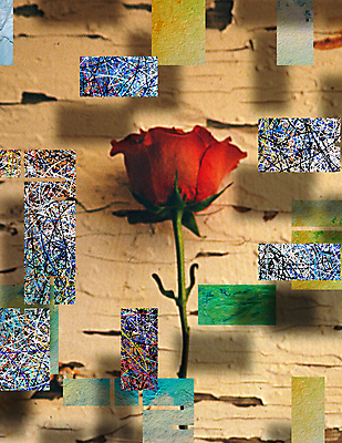 포토 JPG 해외이미지 모양 식물 꽃잎 꽃 실루엣 벽 백그라운드 잎 꽃무늬 패턴 일러스트 부분 자연 추상 그림자 사랑 미술 사람없음 그래픽 장식 빨간색 여름 단어 장미 페인트 봄 블록 수확 벚꽃 점 그리기 가시 영혼 균열 싱글 그림 질감 복고 열정 직사각형 구성 그런지 스타일 해외일러스트 도형 문자 계절 감정 컬러 무늬 농업 모션 문화예술 촬영기법 생태계 파일형식 이미지허브