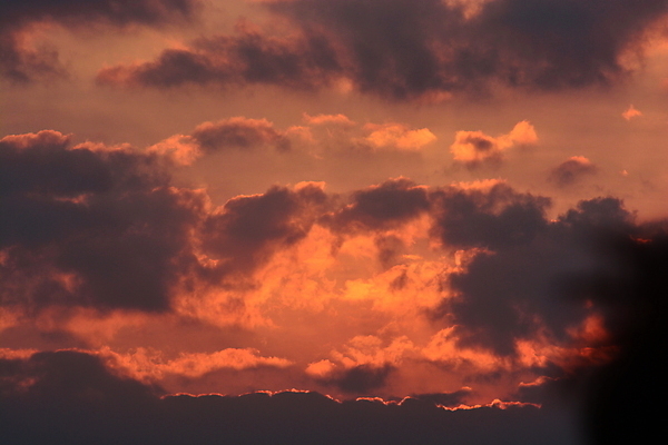 포토 JPG 해외이미지 구름 분홍색 여행 백그라운드 오렌지 자연 하늘 아침 추상 사랑 사람 풍경 사람없음 야외 빨간색 여름 파란색 빛 컬러풀 햇빛 태양 뷰티 노란색 우주 일출 환경 맑음 황혼 일몰 새벽 신선 업무 황금 천국 내추럴 해외포토 주간 자연요소 계절 감정 컬러 무늬 과일 날씨 노을 작업 생태계 파일형식 이미지허브