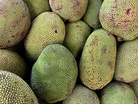 포토 JPG 해외이미지 계절 음식 다이어트 과일 자연 디저트 건강 키위 사람없음 초록색 노란색 세일 흰색 신선 가시 시장 달콤 맛 먹기 유기농 날것 정리 내추럴 보충 고립 숙성 이국적 해외포토 웰빙 컬러 컨셉 모션 생태계 파일형식 이미지허브