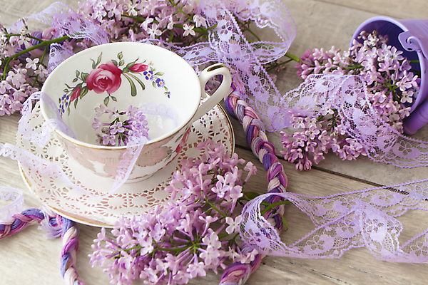 포토 JPG 해외이미지 실내 사람없음 찻잔 라일락 해외포토 꽃 잔 내부 파일형식 이미지허브