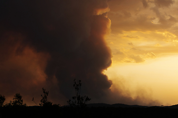 포토 JPG 해외이미지 나무 구름 오렌지 자연 하늘 불 사람없음 야외 빨간색 여름 환경 계곡 검은색 어둠 일몰 활발 뜨거움 입자 호주 야간 저녁 숲 위험 산등성이 온도 내추럴 연소 재앙 화상 해외포토 자연요소 식물 계절 컬러 컨셉 과일 산 노을 오세아니아 상처 생태계 파일형식 이미지허브