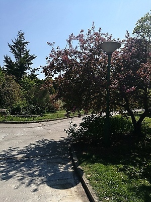 포토 JPG 해외이미지 나무 식물 손 공원 여자 꽃 행복 얼굴 벽 백그라운드 밭 비즈니스 하늘 벽돌 거리 주택 서기 사람 사람없음 야외 건물 옆모습 사무실 걷기 그룹 사인 먼지 지역 온라인 고립 그만 돌봄 해외포토 건축물 공공시설 감정 뷰포인트 농업 모션 신체부위 파일형식 이미지허브