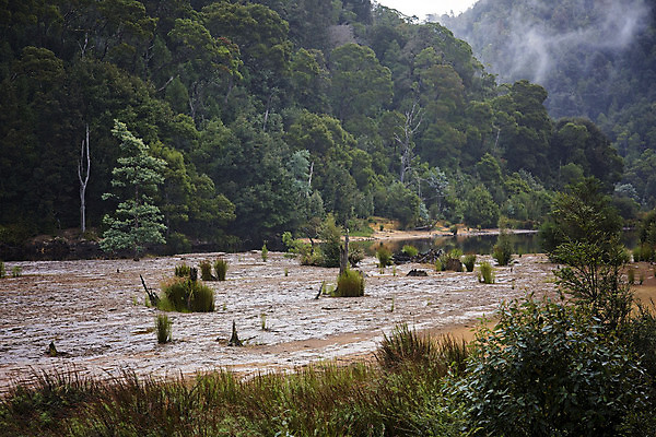 포토 JPG 해외이미지 나무 모래 여행 자연 하늘 산 건조 풍경 사람없음 강 계곡 침대 호주 내추럴 전국 파라다이스 해외포토 식물 가구 오세아니아 생태계 파일형식 이미지허브
