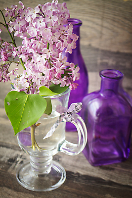 포토 JPG 해외이미지 유리병 잔 실내 사람없음 꽃병 라일락 해외포토 식기 꽃 병_용기 내부 파일형식 이미지허브