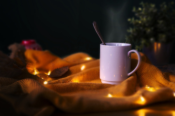 포토 JPG 해외이미지 전통 라이프스타일 디자인 여자 커피 음료 음식 백그라운드 잎 일러스트 자연 유리 탁자 아침 휴식 전등 따뜻함 건강 사람없음 목재 컵 초록색 갈색 노란색 검은색 머그컵 신선 뜨거움 액체 달콤 아침식사 찻잔 찻주전자 허브 오브젝트 상쾌 아로마 에스프레소 내추럴 카페인 해외포토 주간 나무 식물 식기 감정 컬러 가구 컨셉 재료 재질 주전자 조명 잔 사람 생활 식사 맛 생태계 파일형식 이미지허브