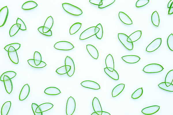 포토 JPG 해외이미지 스튜디오촬영 단면 실내 사람없음 하이앵글 뷰티 흰배경 알로에 해외포토 식물 뷰포인트 백그라운드 내부 흰색 파일형식 이미지허브