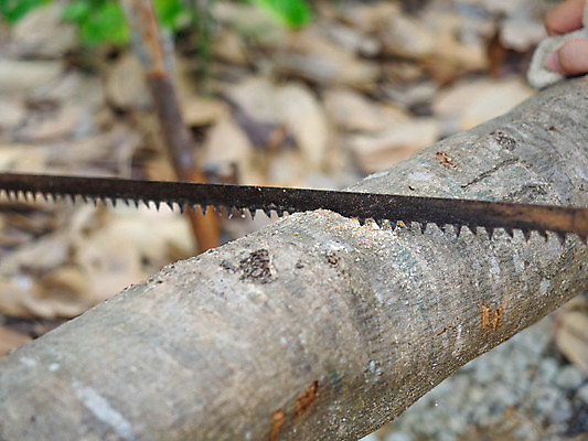 포토 JPG 해외이미지 직업 손 디자인 남자 산업 가구 의자 탁자 노동자 주택 손잡이 사람 사람없음 목재 장비 기구 공구 업무 작업 칼날 작업실 수리 널 자르기 목수 날카로움 목공예 고정 솜씨 수목 업그레이드 조작 톱질 해외포토 나무 생활용품 재료 모션 건물 신체부위 도구 공예 파일형식 이미지허브