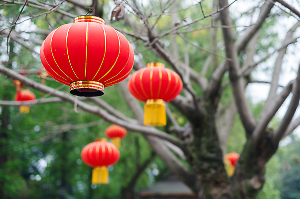 포토 JPG 해외이미지 나무 전통 행복 아시아 종교 종이 문화 하늘 휴가 새로움 미술 동양인 사람없음 장식 빨간색 빛 컬러풀 축제 중국 봄 골동품 등불 램프 축하 역사 연도 전시회 공평 해외포토 식물 계절 감정 나라 컬러 컨셉 문화예술 조명 인종 전시 파일형식 이미지허브