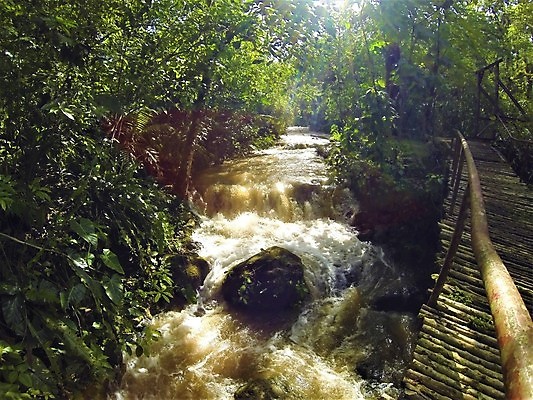 포토 JPG 해외이미지 나무 식물 공원 아시아 여행 백그라운드 잎 자연 산 풍경 사람없음 야외 초록색 물 여름 강 뷰티 환경 미국 폭포 젖음 흐름 가을 바위 신선 개울 황무지 숲 열대우림 브라질 남쪽 내추럴 아마존 이국적 전국 해외포토 자연요소 계절 공공시설 나라 컬러 컨셉 북아메리카 돌_바위 남아메리카 방향 생태계 파일형식 이미지허브