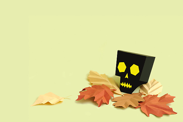 포토 JPG 해외이미지 종이 단풍 낙엽 해골 실내 사람없음 할로윈 페이퍼아트 오브젝트 종이공예 노란배경 해골모형 해외포토 백그라운드 잎 뼈 내부 노란색 모형 공예 파일형식 이미지허브