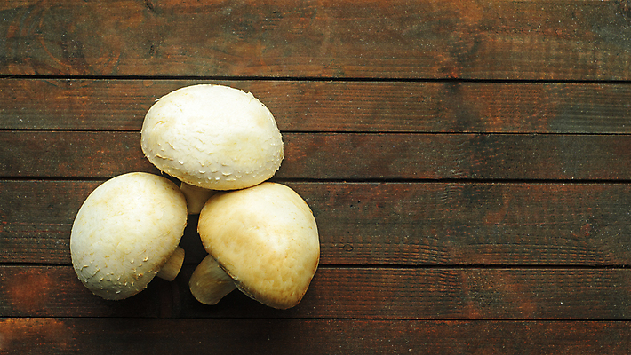 포토 JPG 해외이미지 식물 계절 음식 백그라운드 탁자 치즈 파슬리 건강 3 요리 사람없음 목재 우주 주방 저녁식사 버섯 흰색 신선 플랫 맛 수프 정상 숲 크림 오브젝트 유기농 날것 내추럴 그물버섯 식용 채식주의자 카피스페이스 비건 미니멀 해외포토 나무 웰빙 컬러 가구 컨셉 채소 재료 유제품 식사 공백 채식 파일형식 이미지허브