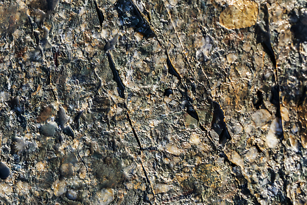 포토 JPG 해외이미지 식물 디자인 계절 공원 벽 백그라운드 컨셉 잎 패턴 자연 벽지 표면 추상 바닥 미술 잔디 사람없음 야외 장식 여름 빛 컬러풀 햇빛 뷰티 환경 정원 성장 신선 닫기 유기농 질감 보케 부드러움 내추럴 블러 생태학 효과 해외포토 웰빙 공공시설 교육 컬러 무늬 모션 문화예술 태양 감각 생태계 파일형식 이미지허브