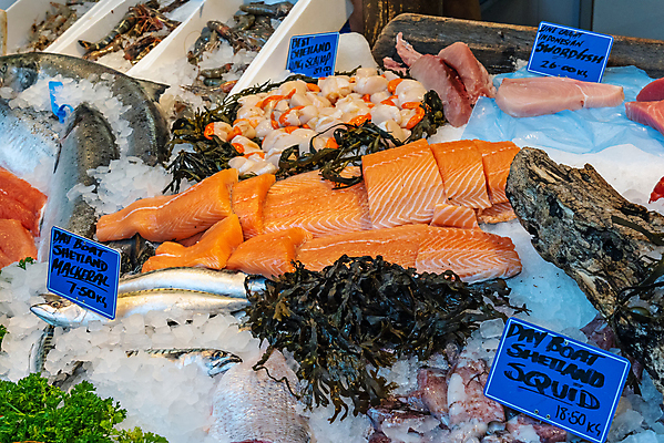 포토 JPG 해외이미지 동물 음식 바다 백그라운드 다이어트 재료 낚시 영국 새우 건강 육류 어류 요리 사람없음 빨간색 판매 세일 식사 신선 시장 은색 참치 먹기 허리 해산물 오징어 런던 날것 도미 문어 연어 고등어 어장 베이스 소금물 해외포토 유럽 컬러 식재료 모션 현악기 레저 연체동물 갑각류 신체부위 수중동물 파일형식 이미지허브