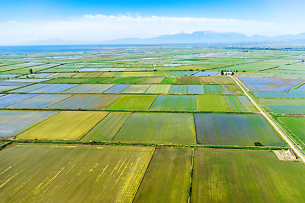 포토 JPG 해외이미지 식물 전통 지구 음식 농업 자연 밥 안테나 사람없음 야외 초록색 물 파란색 농작물 컬러풀 농장 농경지 계곡 수확 안개 시골 정상 가난 땅 시리얼 층 내추럴 산악지대 논밭 땅바닥 밭일 생태학 심기 판잣집 해외포토 자연요소 교육 산업 컬러 컨셉 밭 통신 모션 날씨 산 바닥 주택 논 생태계 파일형식 이미지허브