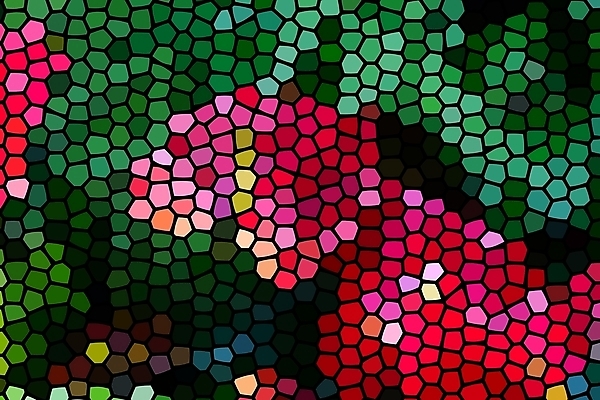 포토 JPG 해외이미지 나무 식물 꽃 화초 줄기 분홍색 백그라운드 잎 꽃무늬 해부 자연 발렌타인데이 종류 사람없음 장식 빨간색 초록색 컬러풀 뷰티 정원 봄 성장 벚꽃 흰색 신선 개화 우아함 숲 플라밍고 원예 내추럴 이국적 해외포토 계절 컬러 컨셉 무늬 의학 데이이벤트 조류 취미 생태계 파일형식 이미지허브