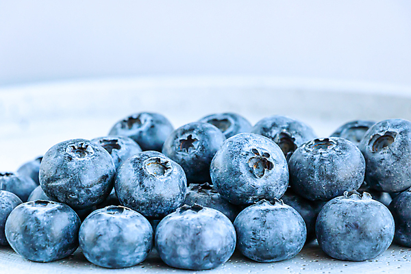 포토 JPG 해외이미지 스튜디오촬영 열매 음식 백그라운드 컨셉 패턴 다이어트 과일 디저트 실내 건강 사람없음 파란색 흰색 신선 닫기 달콤 유기농 블루베리 날것 흙더미 건강식 고립 숙성 카피스페이스 미니멀리스트 해외포토 식물 웰빙 컬러 무늬 모션 내부 흙 공백 맛 파일형식 더미 이미지허브