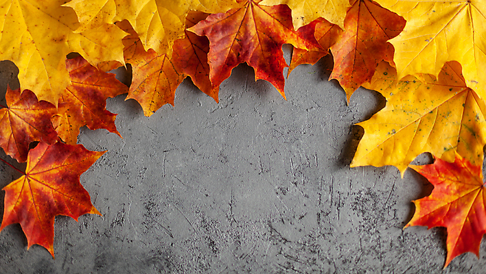 포토 JPG 해외이미지 나무 식물 디자인 계절 벽 컨셉 단풍 잎 캐나다 패턴 오렌지 텍스트 자연 프레임 건조 따뜻함 사람없음 빨간색 초록색 컬러풀 노란색 우주 어둠 회색 가을 신용카드 플랫 떨어짐 정상 아스팔트 심볼 질감 위치 10월 내추럴 구성 옛날 콘크리트 미니멀 해외포토 도로 컬러 북아메리카 무늬 과일 금융 날짜 생태계 파일형식 이미지허브
