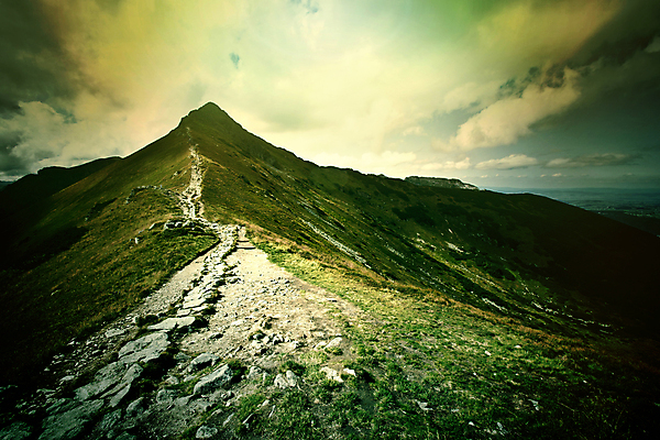 포토 JPG 해외이미지 나무 식물 공원 길 여행 잎 오렌지 자연 하늘 아침 산 사람없음 야외 초록색 물 파란색 빛 강 뷰티 노란색 평화 환경 어둠 일몰 놀람 새벽 하이킹 안개 달 황무지 황금 저녁 숲 산등성이 내추럴 뿌연 서쪽 전국 절정 해외포토 주간 자연요소 공공시설 감정 컬러 컨셉 과일 레저 날씨 표정 노을 야간 방향 생태계 파일형식 이미지허브
