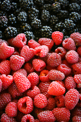 포토 JPG 해외이미지 열매 음식 분홍색 백그라운드 패턴 과일 자연 추상 건강 사람없음 빨간색 여름 세일 상점 정원 검은색 수확 신선 시장 닫기 맛 아침식사 유기농 원예 질감 산딸기 블랙베리 내추럴 보스니아 숙성 영양분 채식주의자 해외포토 식물 웰빙 계절 컬러 컨셉 무늬 농업 모션 취미 식사 생태계 채식 파일형식 이미지허브