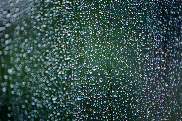 포토 JPG 해외이미지 계절 백그라운드 창문 유리 날씨 추상 풍경 사람없음 초록색 물 여름 글로벌 젖음 흐름 추위 물방울 투명 액체 닫기 고독 떨어짐 소프트포커스 큼 만족 땀 보케 심플 분무기 폭풍 우울증 위생관리 해외포토 자연요소 감정 컬러 컨셉 무늬 모션 재질 촬영기법 관리 질병 크기 파일형식 이미지허브